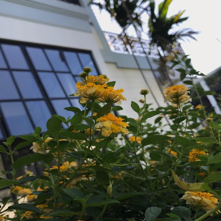 Rumah Kertajaya سورابايا المظهر الخارجي الصورة